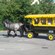 2 horses pulling a carriage